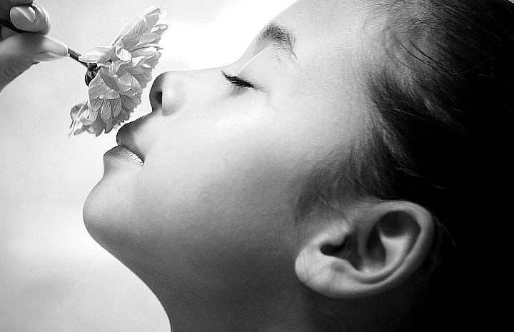 智能提示贴心的手机号测压app